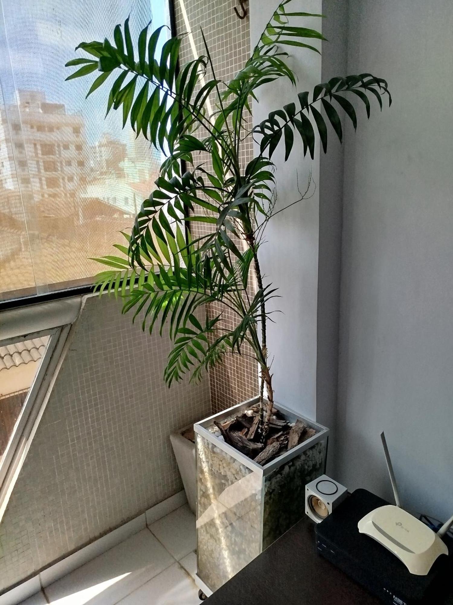Apartamento Impecavel Na Enseada グァルジャー エクステリア 写真